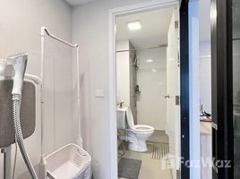 1 Bedroom Condo for rent at Plum Condo Park Rangsit, Khlong Nueng, Khlong Luang, Pathum Thani