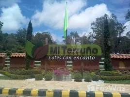  Terrain for sale in Bucaramanga, Santander, Bucaramanga