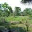  Land for sale in Presidente Figueiredo, Presidente Figueiredo, Presidente Figueiredo