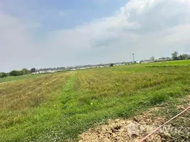  토지을(를) FazWaz.co.kr에서 판매합니다., 삼만 쥐, Doi Saket, 치앙마이, 태국