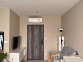 Studio Emper (Penthouse) for rent at Clique, Dengkil