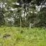  Land for sale in Koh Samui Surat Thani, Lipa Noi, Koh Samui