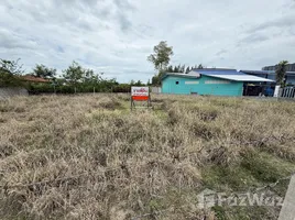 ขายที่ดิน ใน หนองแก, หัวหิน, หนองแก, หัวหิน, ประจวบคีรีขันธ์, ไทย