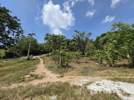  Grundstück zu verkaufen in Maret, Surat Thani, Maret