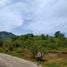  Land for sale in Kathu, Phuket, Kathu, Kathu