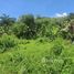  Terrain for sale in Ko Kaeo, Phuket Town, Ko Kaeo