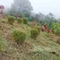 Terrain à vendre à Perez Zeledon, San Jose, Perez Zeledon