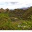  Terrain for sale in Loja, Vilcabamba Victoria, Loja, Loja