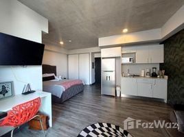1 Bedroom Apartment for rent at Mata Redonda, San Jose, San Jose
