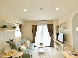 1 Bedroom Condo for rent at Ratchaporn Place, Kathu, Kathu, Phuket