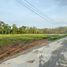  Земельный участок for sale in Pa Khlok, Пхукет, Pa Khlok