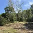  Land for sale in Tha Pradu, Songkhla, Tha Pradu, Na Thawi, Songkhla