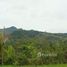  Land for sale in Panama, Toabre, Penonome, Cocle, Panama