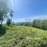  Terreno (Parcela) en venta en Taling Ngam, Koh Samui, Taling Ngam