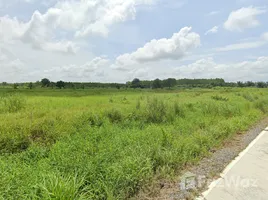  Land for sale in Chon Buri, Ko Chan, Ko Chan, Chon Buri
