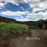  Terrain for sale in Loja, Gonzanama, Gonzanama, Loja