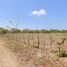  Land for sale in Anton, Cocle, Rio Hato, Anton