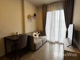 คอนโด 1 ห้องนอน ให้เช่า ในโครงการ เนีย บาย แสนสิริ, พระโขนงเหนือ