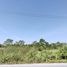  Land for sale in Pathum Thani, Bueng Nam Rak, Thanyaburi, Pathum Thani