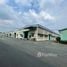 在平陽省出售的 大商店, Uyen Hung, Tan Uyen, 平陽省