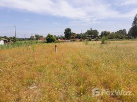 N/A Land for sale in Kut Nam Sai, Khon Kaen Land for Sale in Nam Phong and Ubolrat dam