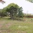  Land for sale in Heredia, Flores, Heredia