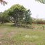  Terrain for sale in Heredia, Flores, Heredia