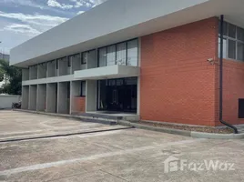 4 Bedroom Warehouse for rent in Thailand, Phraeksa, Mueang Samut Prakan, Samut Prakan, Thailand