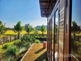 3 спален Дом for rent in Sop Poeng, Mae Taeng, Sop Poeng