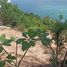  Land for sale in Surat Thani, Bo Phut, Koh Samui, Surat Thani