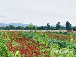  Grundstück zu verkaufen in Pak Chong, Nakhon Ratchasima, Mu Si, Pak Chong, Nakhon Ratchasima