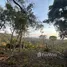  Land for sale in Ang Thong, Surat Thani, Ang Thong, Koh Samui