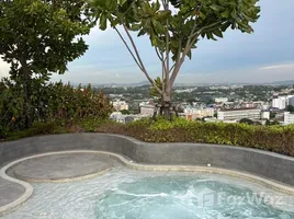 ขายอพาร์ทเม้นท์ 1 ห้องนอน ในโครงการ เดอะ แฮมป์ตัน ศรีราชา, ศรีราชา, ศรีราชา