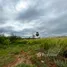  Land for sale in Nong Sarai, Nakhon Ratchasima, Nong Sarai, Pak Chong