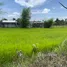  Land for sale in Mueang Roi Et, Roi Et, Khon Kaen, Mueang Roi Et