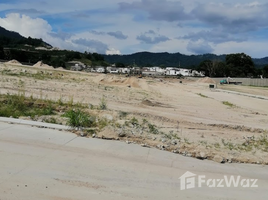  Ciudad Jaragua에서 판매하는 토지, 산 페드로 술라, 코르테스