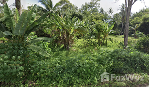 N/A Grundstück zu verkaufen in Ao Nang, Krabi 