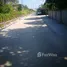  Land for sale in San Klang, San Kamphaeng, San Klang