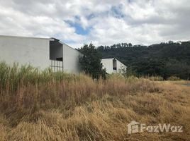  Terreno (Parcela) en venta en Santa Ana, Santa Ana