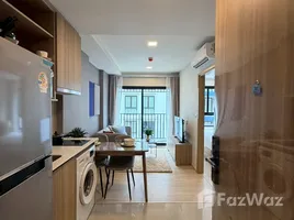 1 Bedroom Apartment for rent at The Base Cherngtalay, Choeng Thale, Thalang, Phuket