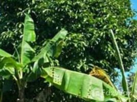 N/A Land for sale in , Cartago 1 Hectare Land for Sale in Cartago