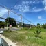  Land for sale in Maret, Surat Thani, Maret, Koh Samui, Surat Thani, Thailand