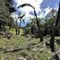  Land for sale in Costa Rica, Montes De Oca, San Jose, Costa Rica