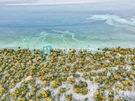 5 спален Вилла на продажу в Al Jubail Island, Saadiyat Beach, Saadiyat Island