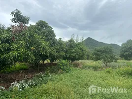  Land for sale in Sila Loi, Hua Hin, Sila Loi, Sam Roi Yot, Prachuap Khiri Khan