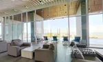 Особенности и удобства of Cetus Beachfront