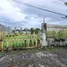 在East Jawa出售的 土地, Ponorogo, Ponorogo, East Jawa