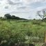  Land for sale in Pathum Thani, Bueng Sanan, Thanyaburi, Pathum Thani