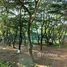 4 Bedroom House for sale in Phai Thon, Phrae, Phai Thon, Rong Kwang, Phrae, Thailand