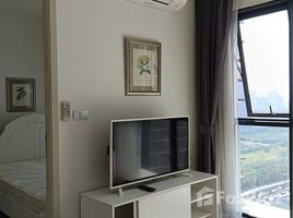 1 Schlafzimmer Wohnung zu verkaufen im Rhythm Asoke 2, Makkasan